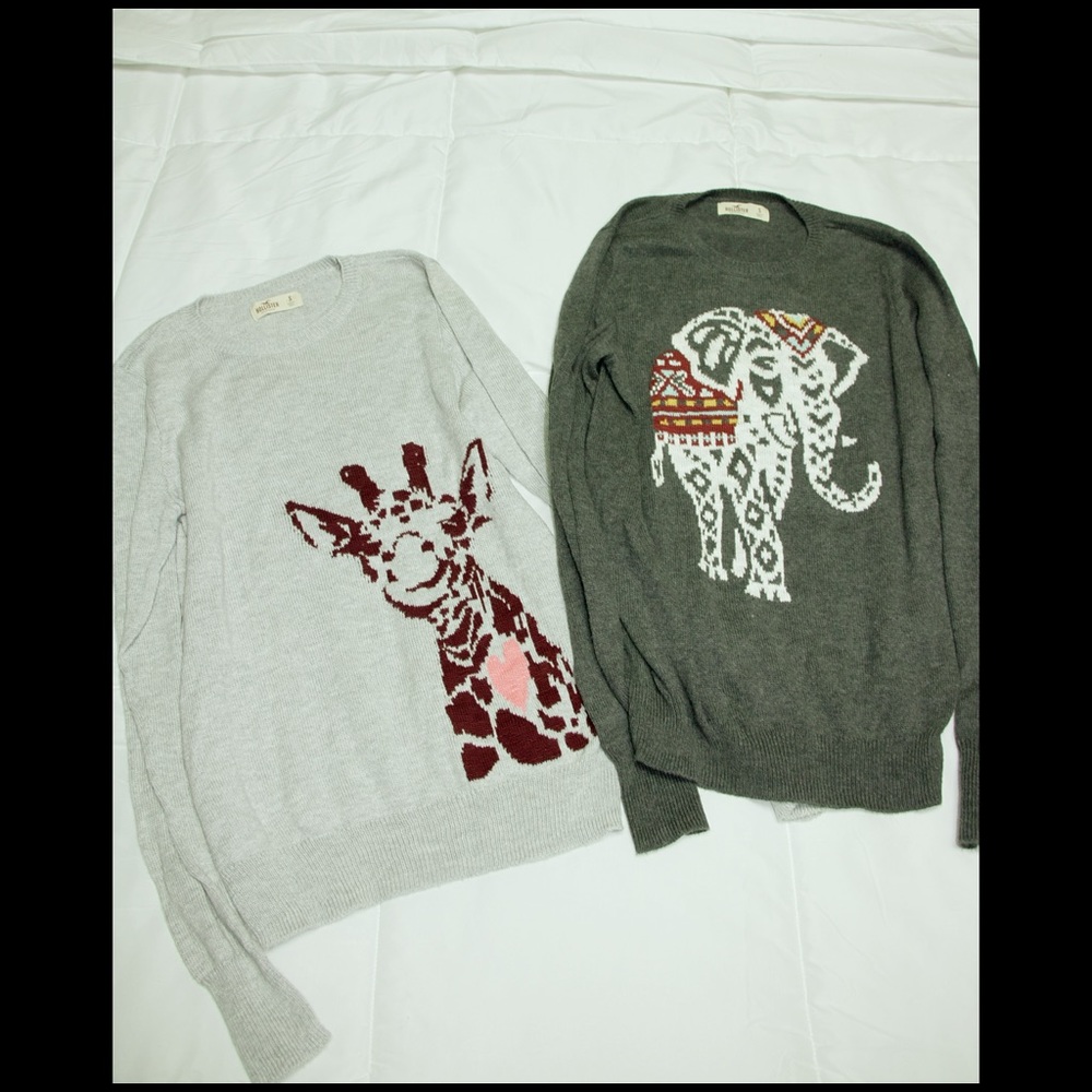 Hollister Knit Sweaters